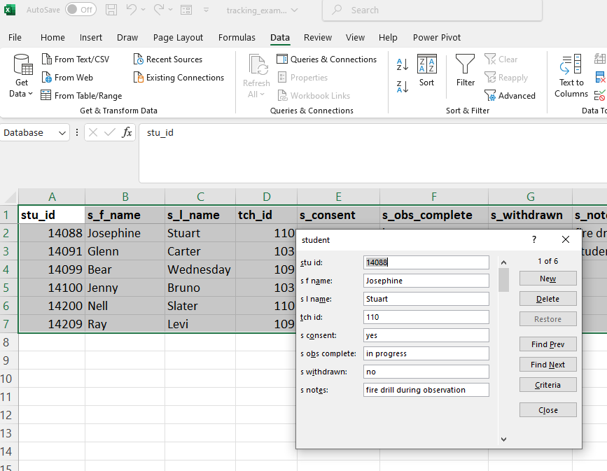 Forms in Microsoft Excel