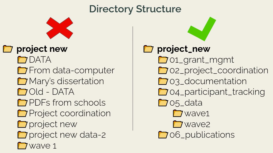 Example of an unorganized and an organized directory structure